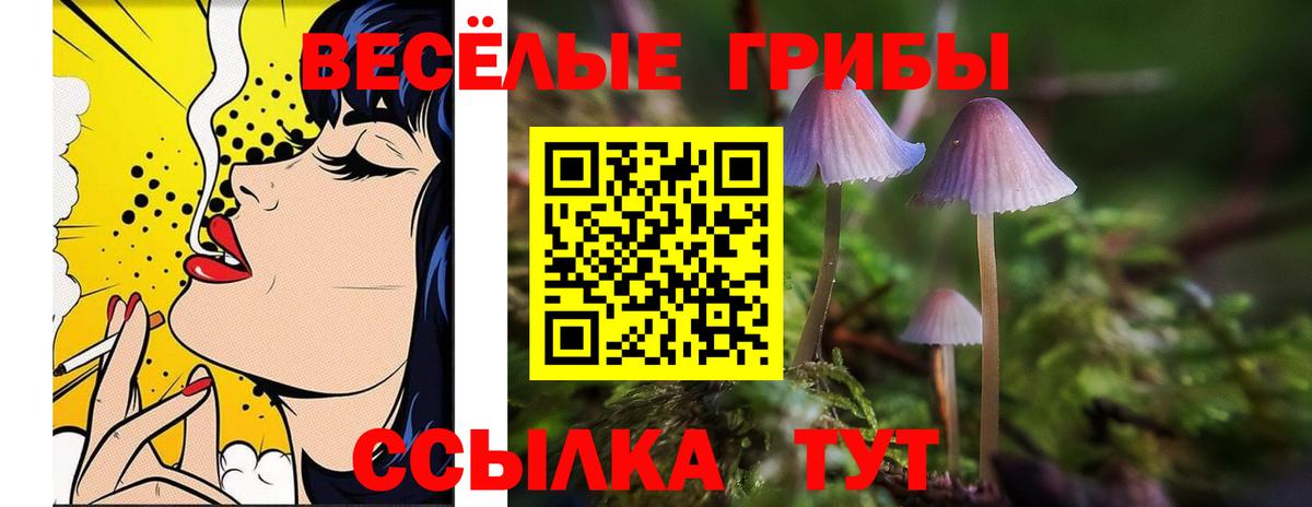 Видное  Галлюциногенные грибы Psilocybe  Вход с VPN 